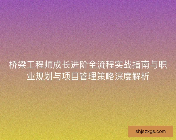桥梁工程师成长进阶全流程实战指南与职业规划与项目管理策略深度解析