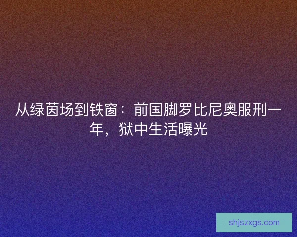 从绿茵场到铁窗：前国脚罗比尼奥服刑一年，狱中生活曝光